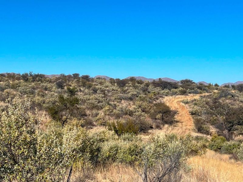 A scenic view of the vacant residential land featuring natural bushveld vegetation and a dirt access track under a clear blue sky.