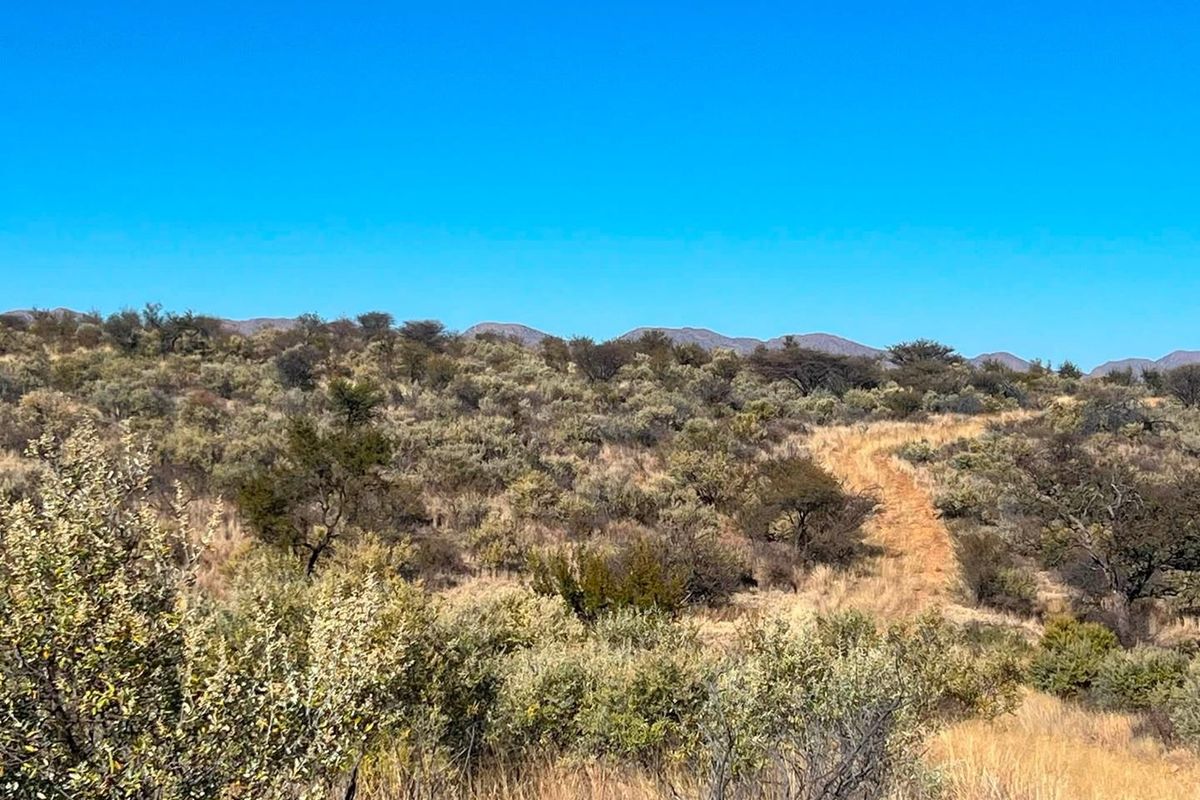 A scenic view of the vacant residential land featuring natural bushveld vegetation and a dirt access track under a clear blue sky.
