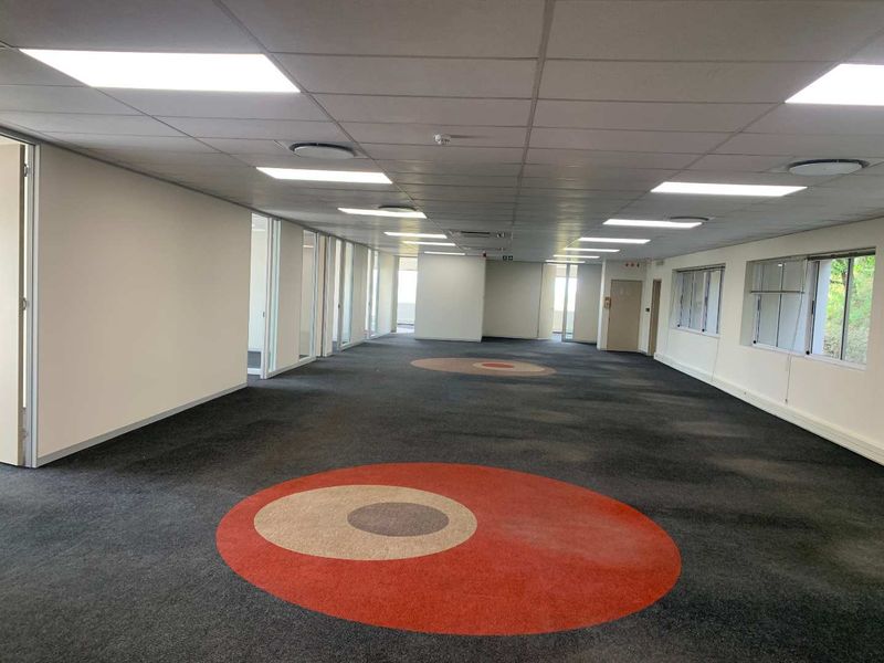 Spacious open-plan office area featuring a suspended ceiling with recessed lighting and large windows providing natural light.