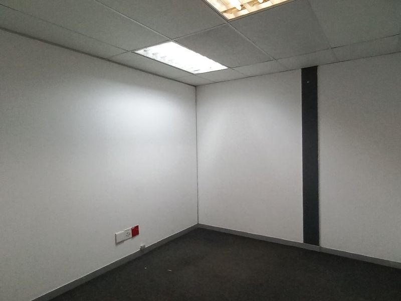 A clean, empty office space featuring a suspended ceiling with recessed lighting, dark carpeting, and neutral wall finishes.