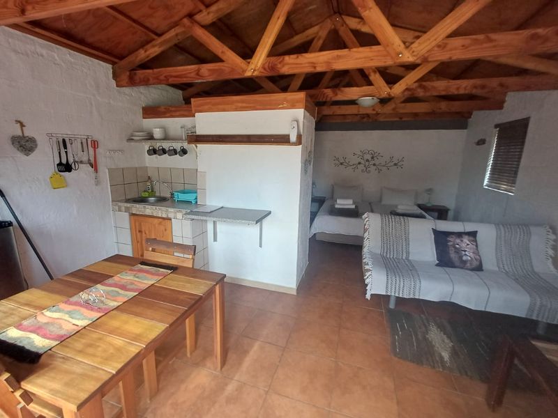 Open-plan living area featuring exposed timber roof trusses, tiled flooring, and a functional kitchenette with a sink and tiled backsplash.