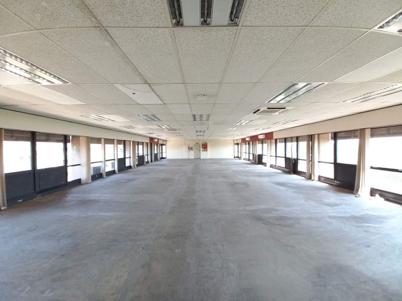 A large, open-plan office space featuring expansive windows, suspended ceiling tiles, and exposed concrete flooring, offering a blank canvas for custom fit-outs.