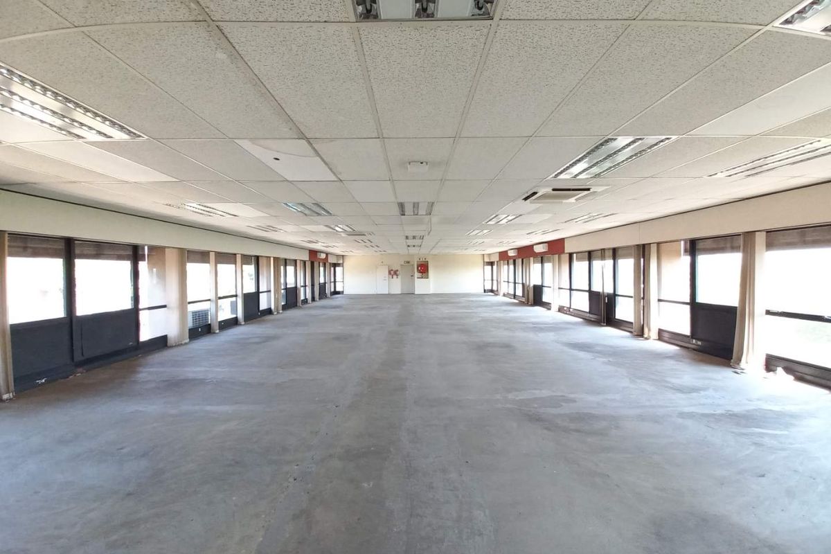 A large, open-plan office space featuring expansive windows, suspended ceiling tiles, and exposed concrete flooring, offering a blank canvas for custom fit-outs.