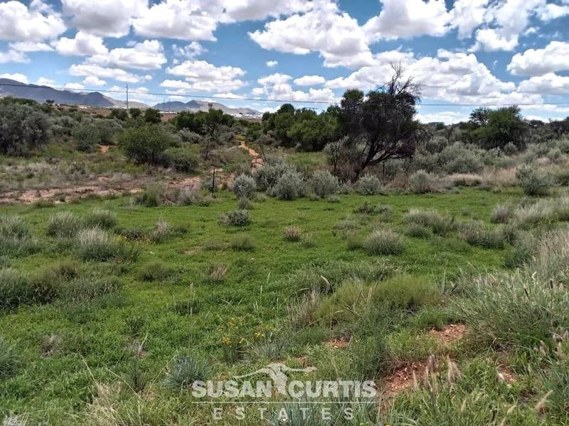 BEAUTIFUL SMALL HOLDING - Photo 3