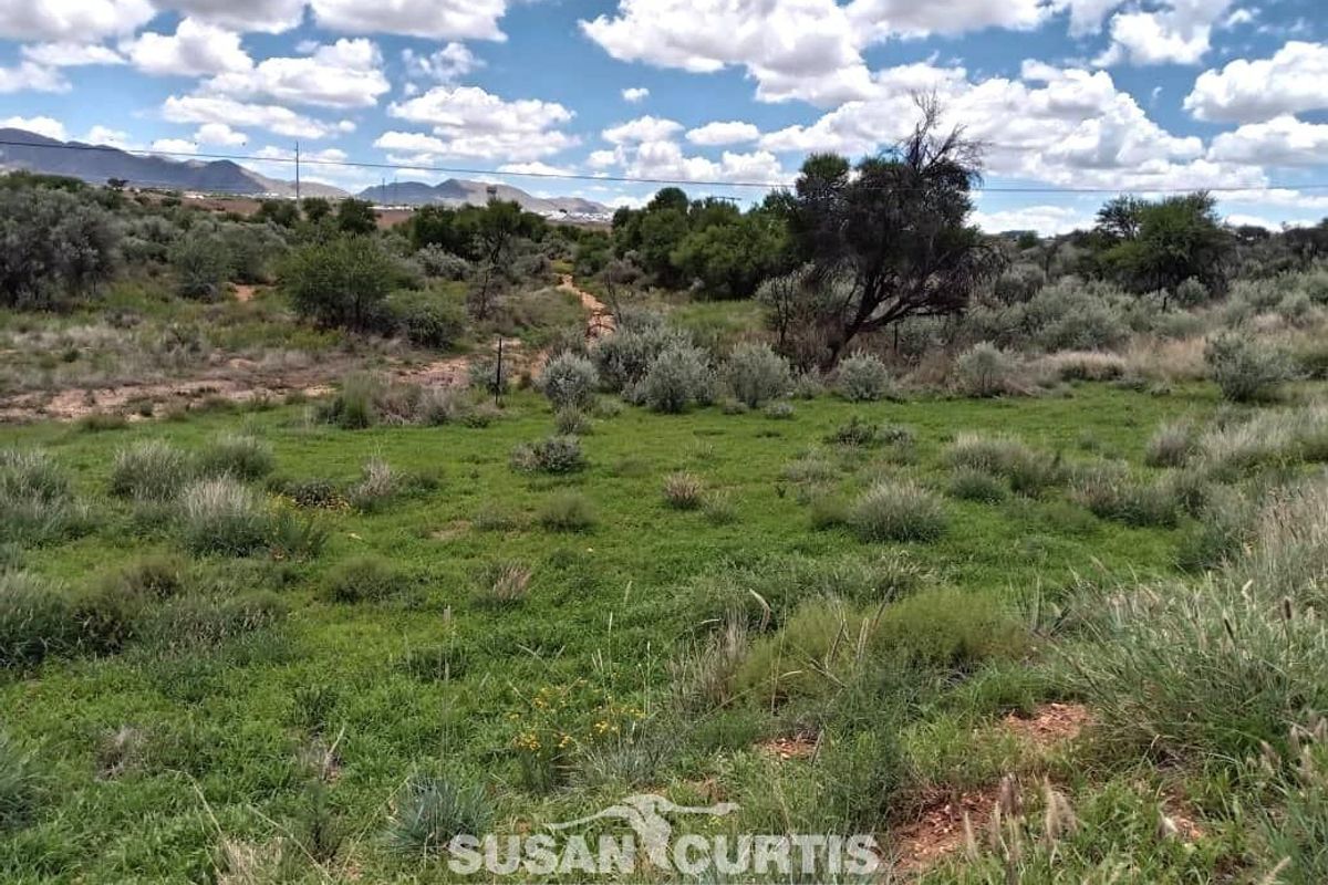 BEAUTIFUL SMALL HOLDING - Photo 3