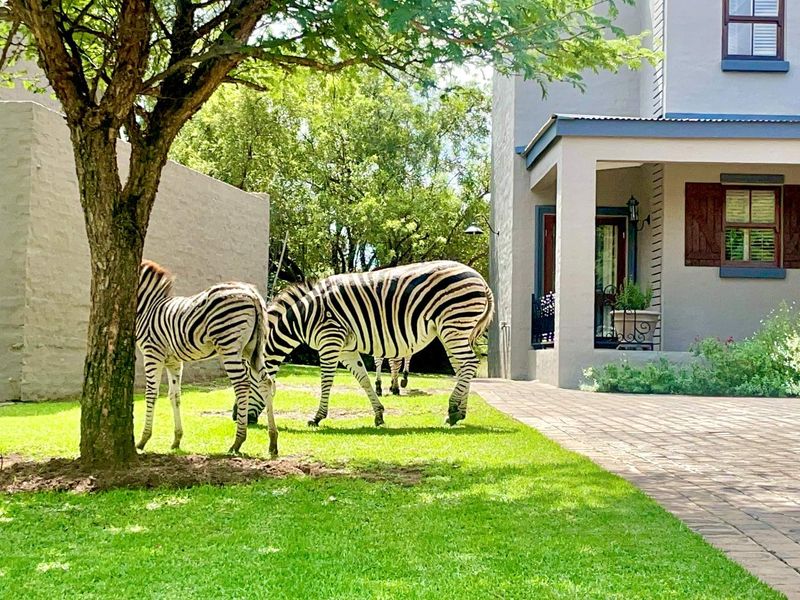 Modern Meets Farmstyle in a Wildlife Estate – Gym, Pool, Squash & More! - 2 and 3 Bedrooms! - Photo 5