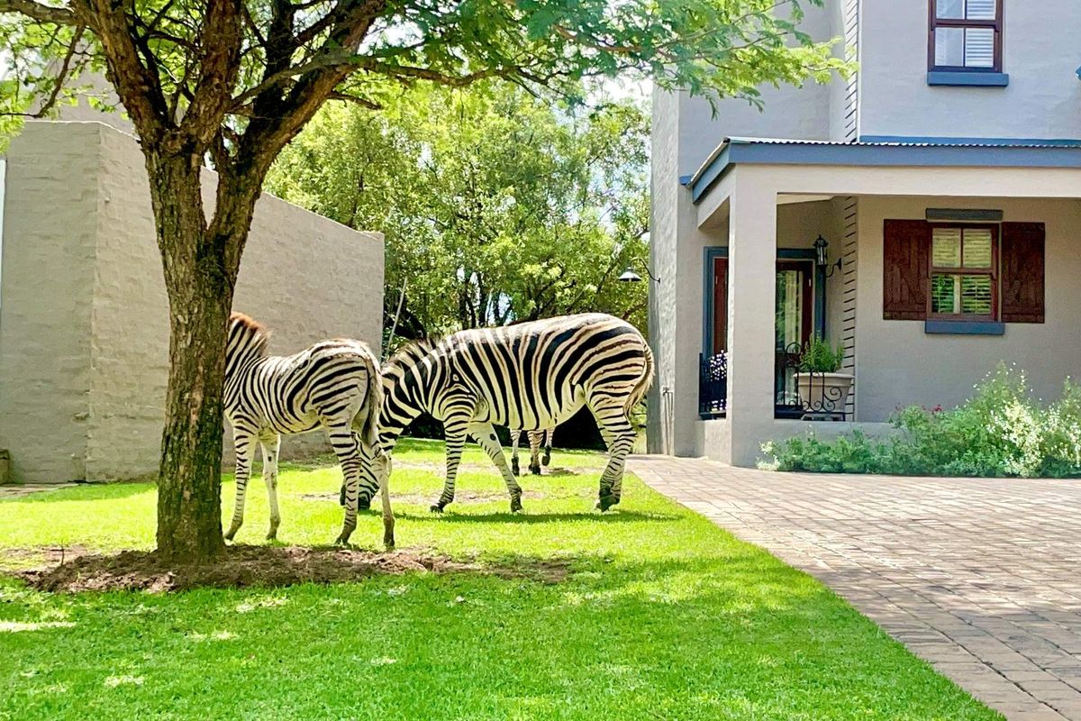 Modern Meets Farmstyle in a Wildlife Estate – Gym, Pool, Squash & More! - 2 and 3 Bedrooms! - Photo 5