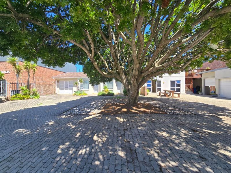 Spacious Lock-up-and-Go Apartment living in Newton Park - Photo 2