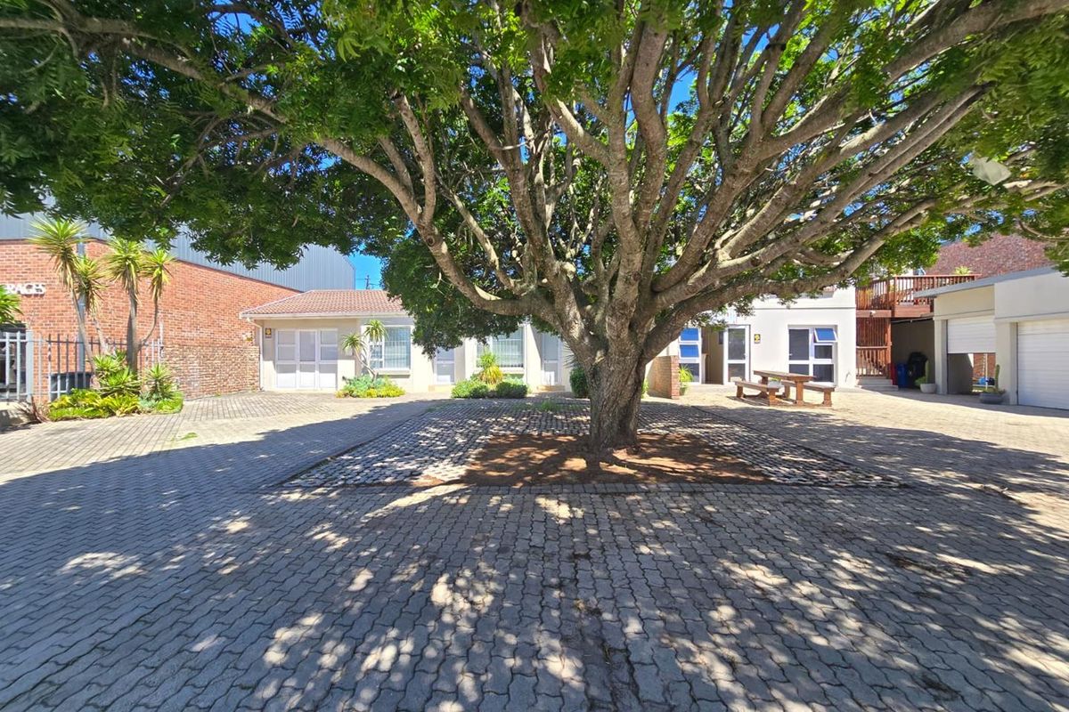 Spacious Lock-up-and-Go Apartment living in Newton Park - Photo 2
