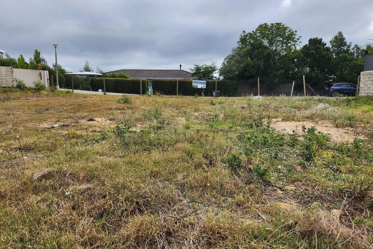 This fabulous land is a rare find - Photo 3