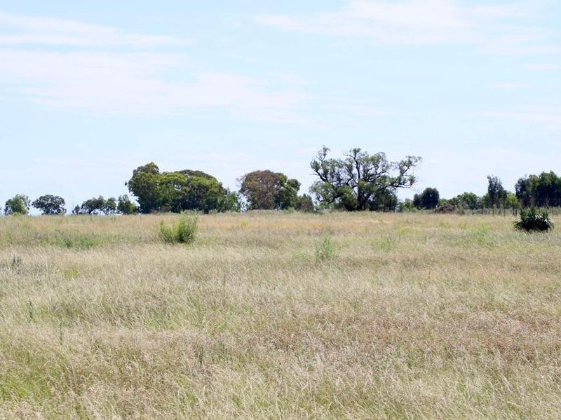 Vacant Smallholding for Sale 6.85 hectares of Opportunity - Photo 5