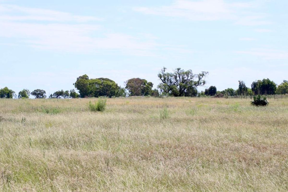 Vacant Smallholding for Sale 6.85 hectares of Opportunity - Photo 5