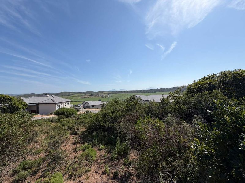 A scenic elevated view overlooking the surrounding landscape, native vegetation, and neighboring residential properties in a quiet estate setting.