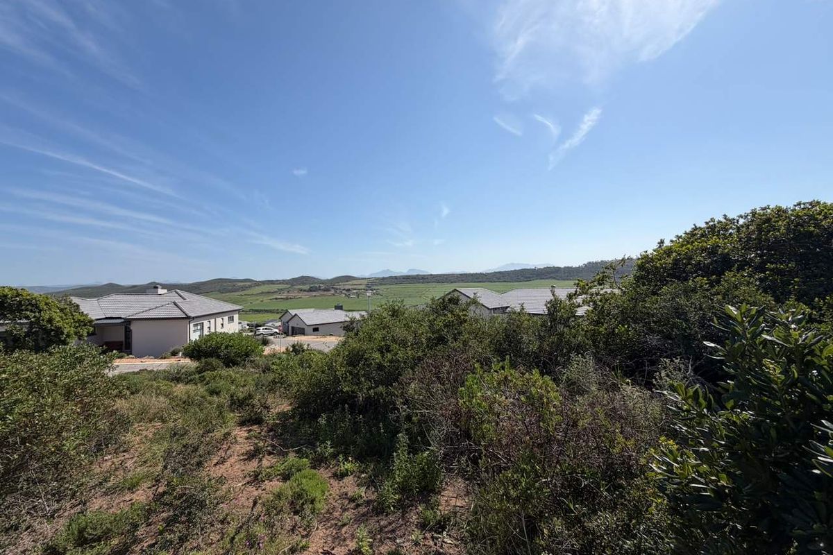 A scenic elevated view overlooking the surrounding landscape, native vegetation, and neighboring residential properties in a quiet estate setting.