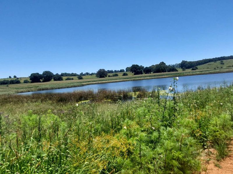 600ha Multi-Income Farm & Lifestyle Estate – Belfast / Dullstroom Area - Photo 4