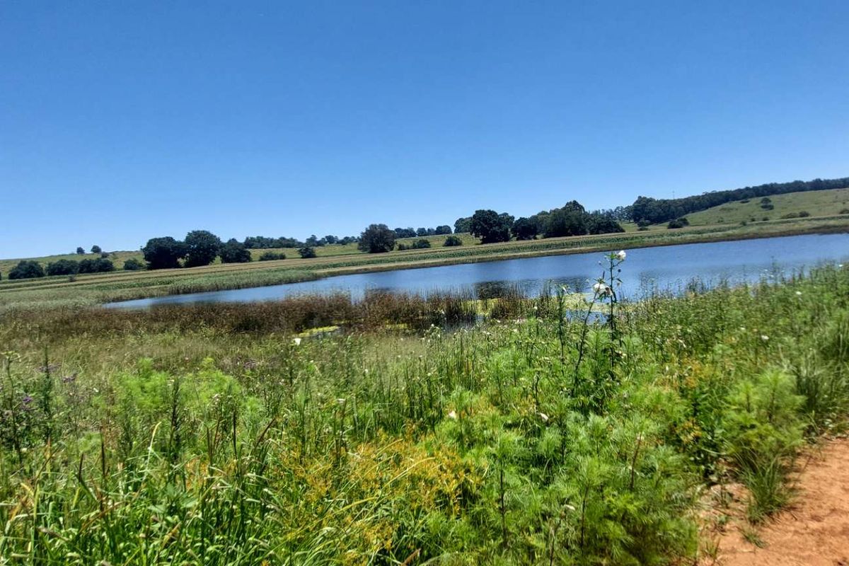 600ha Multi-Income Farm & Lifestyle Estate – Belfast / Dullstroom Area - Photo 4