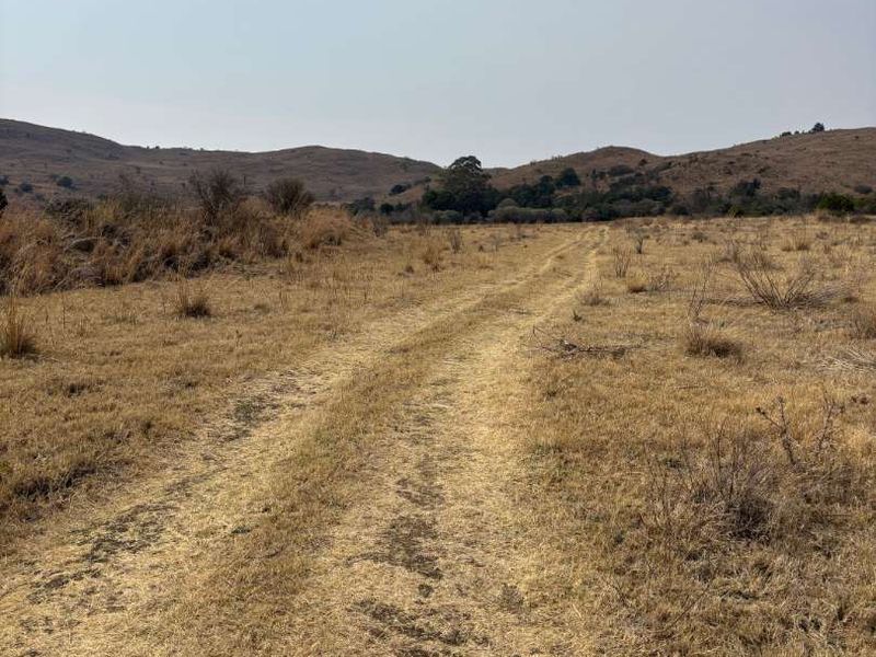 UNDEVELOPED FARM FOR SALE - Photo 5