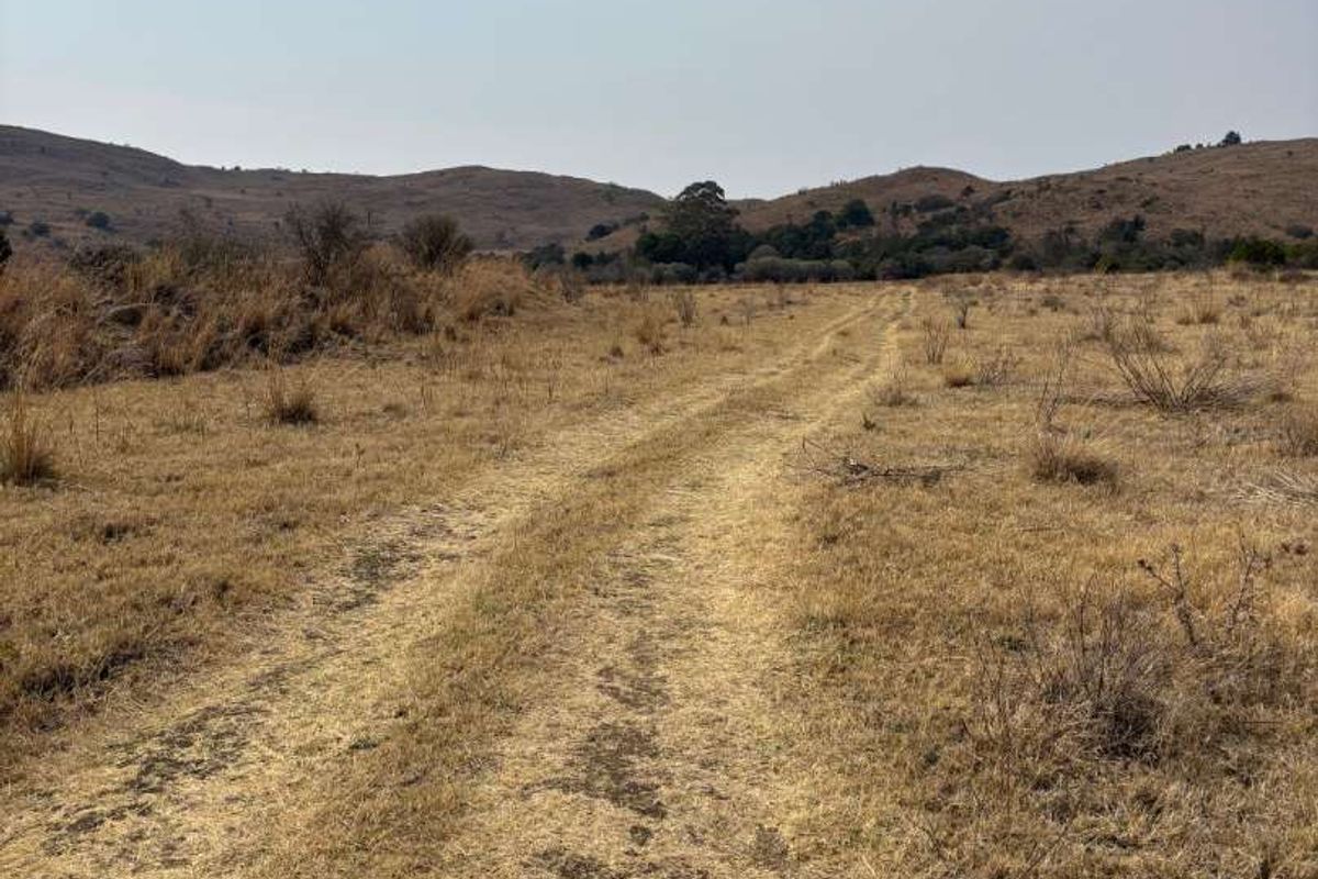 UNDEVELOPED FARM FOR SALE - Photo 5