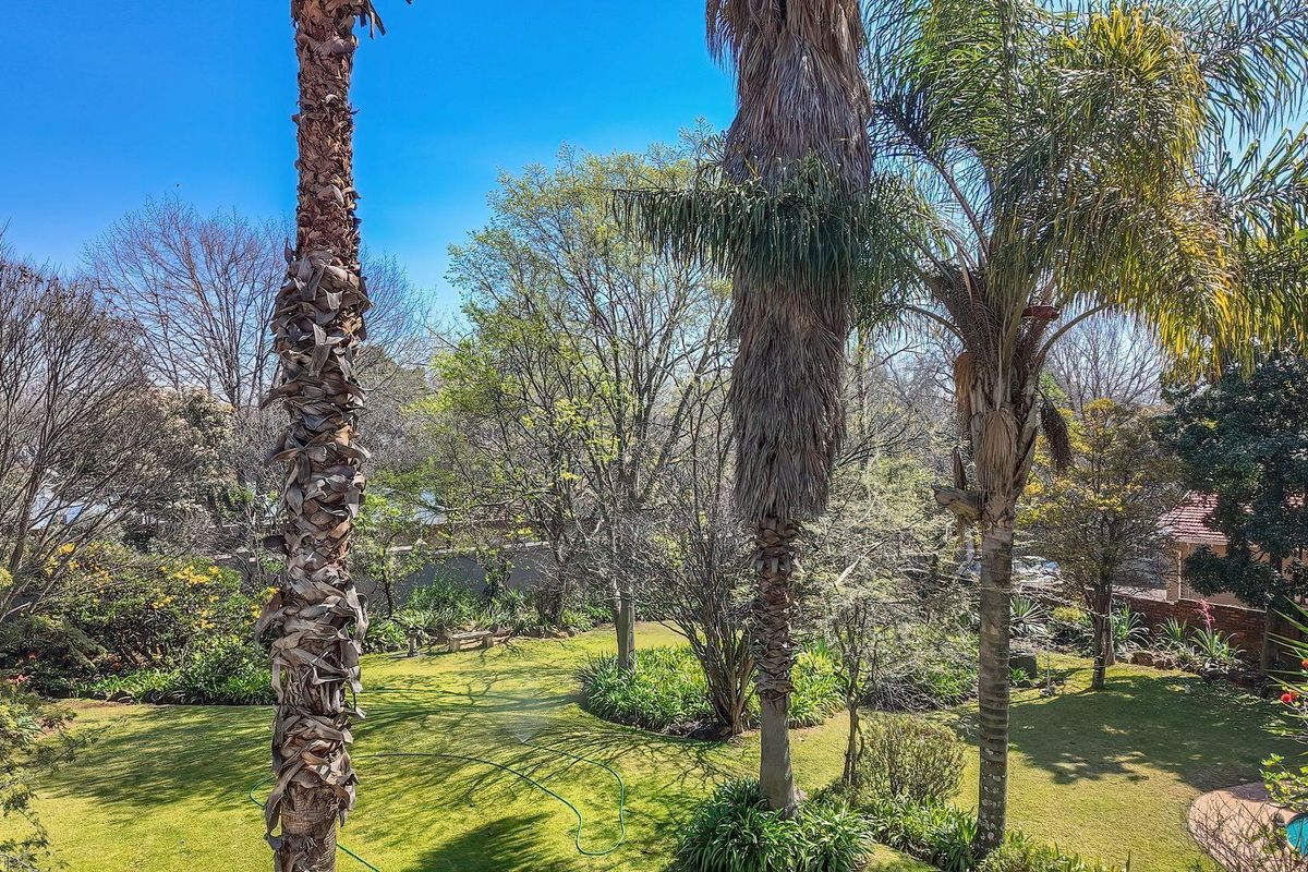 A scenic elevated view overlooking a lush, well-maintained garden featuring mature palm trees and established landscaping.