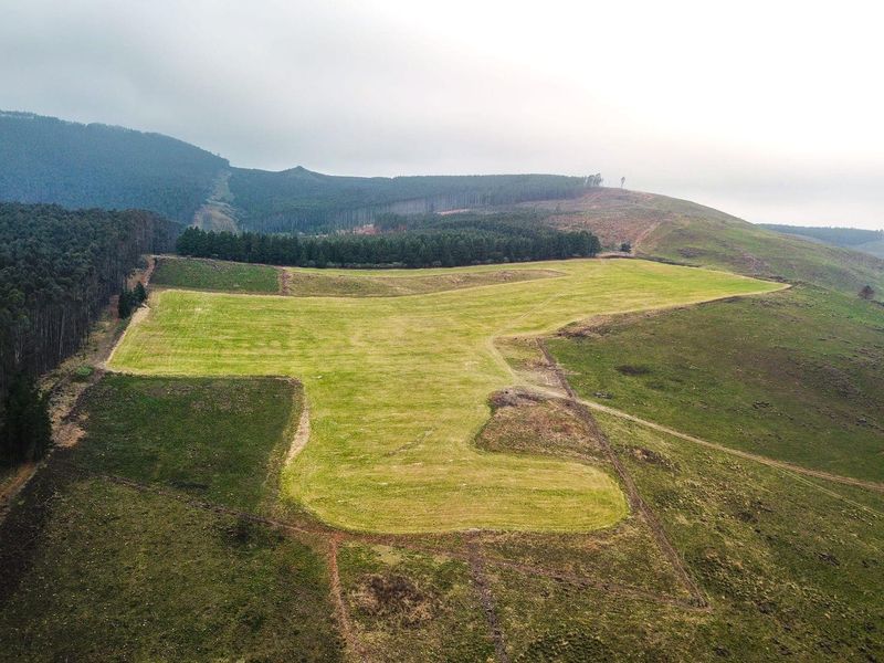 475Ha Multi-Use Farm for Sale – Donnybrook, KwaZulu-Natal - Photo 3