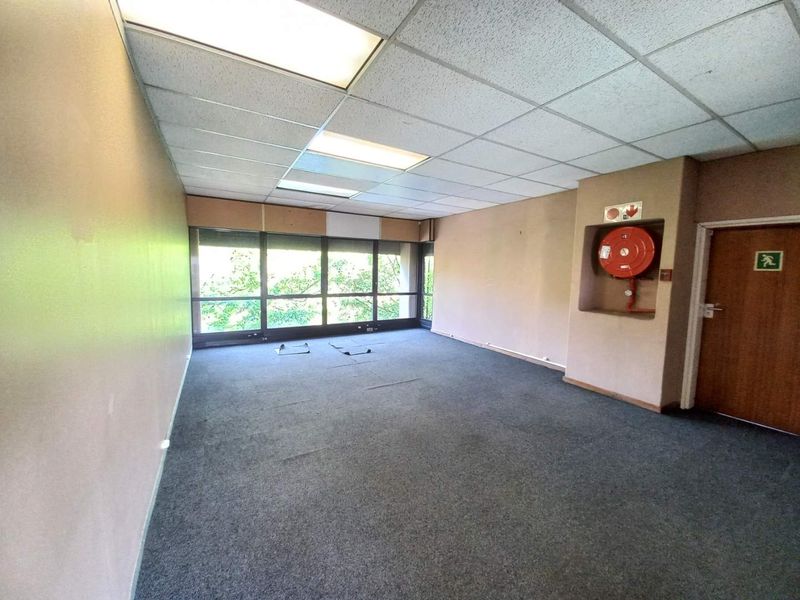 An empty office space featuring a suspended ceiling, large windows, and a wall-mounted fire hose reel.