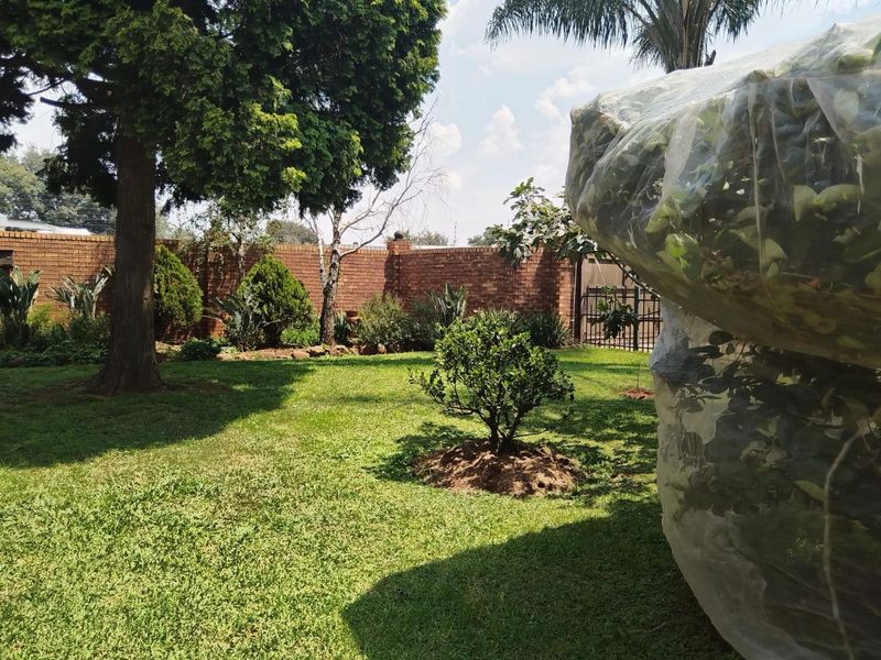 Prime Small Holding with Commercial Potential Next to Riverfields - Photo 9