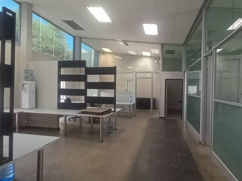 Spacious open-plan office area featuring glass partitions, recessed lighting, and large windows providing ample natural light.