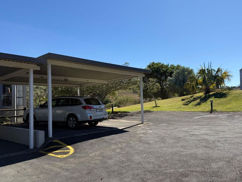 A covered carport parking area situated on an asphalt driveway with surrounding landscaped grounds.