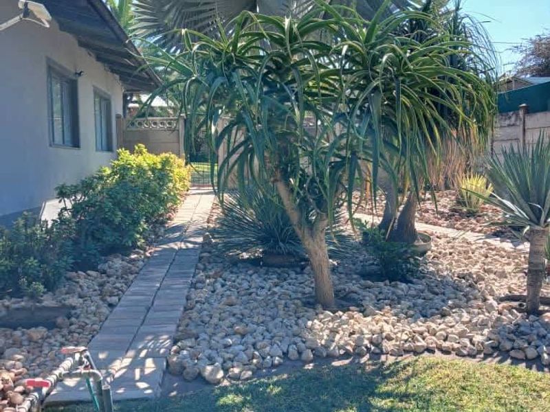 A well-maintained garden area featuring a paved walkway, established trees, and landscaped rock beds alongside the side of the house.