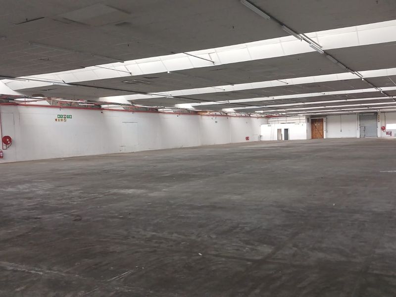 Spacious industrial warehouse featuring concrete flooring, high ceilings with integrated skylights, and functional fire safety equipment, suitable for various commercial or storage operations.