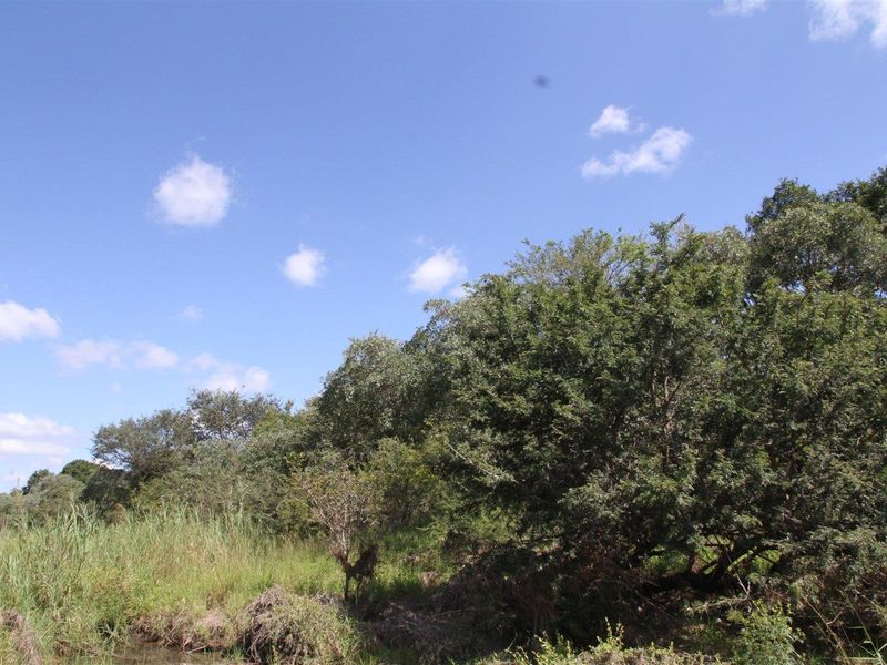 Vacant stand for Sale - Photo 9