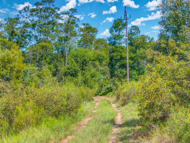 177-Hectare Riverfront Property Near Knysna - Photo 10