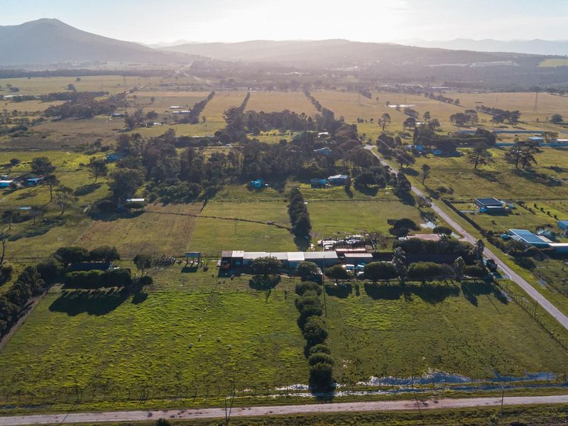 Rare Income-Generating Lifestyle Smallholding:2 Homes & Business Potential – Rendallton, Near Gqeberha - Photo 9