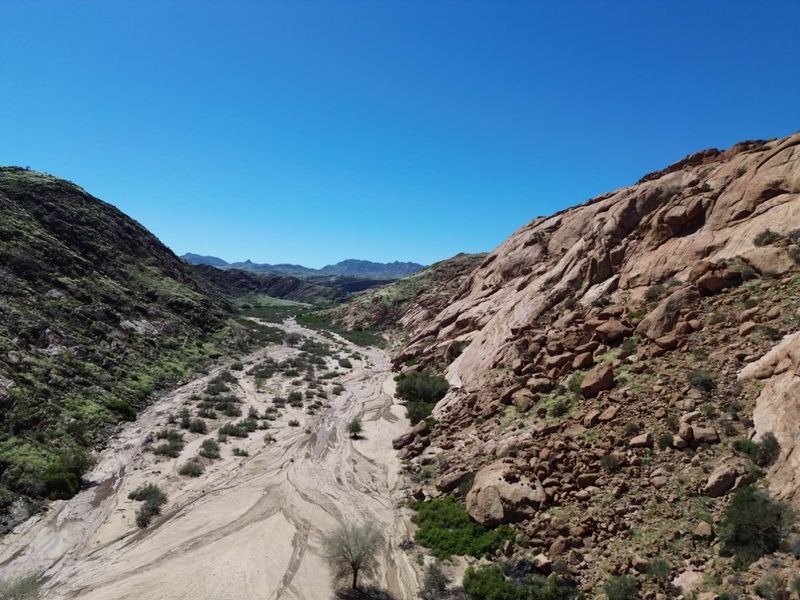 The Beauty of the Namib - Photo 9