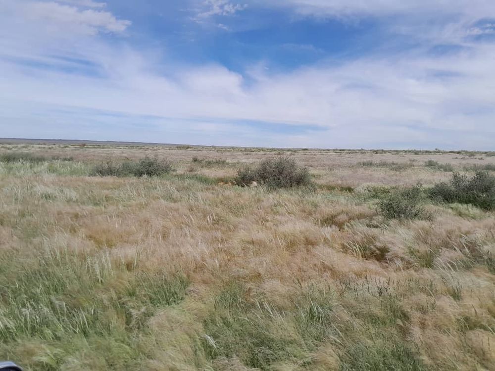 View of the field after the rain. 