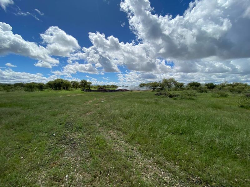 Large-Scale  Game Farm for Sale – Power, Production & Potential - Photo 6