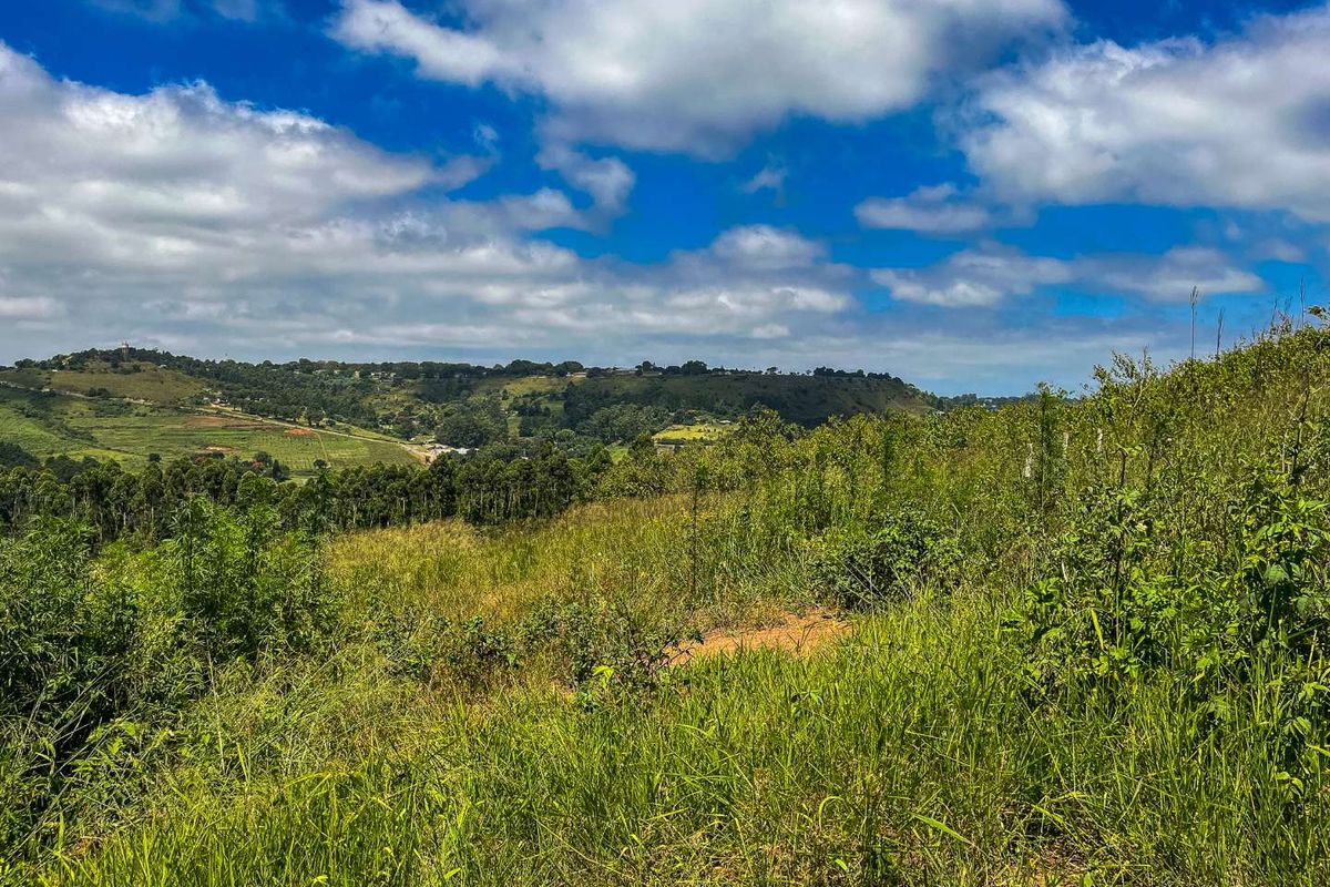 Picturesque Land in Stoneford Country Estate - Photo 3