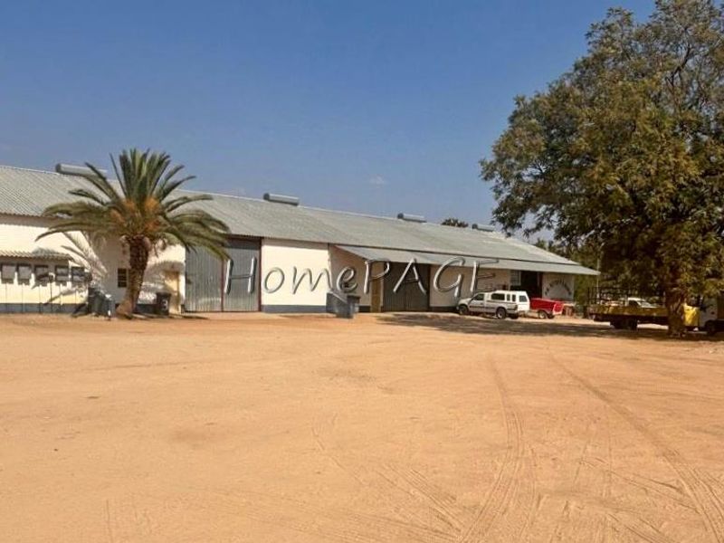 Industrial Property, Otjiwarongo:  Property with 7 warehouses/workshops is for Sale - Photo 2