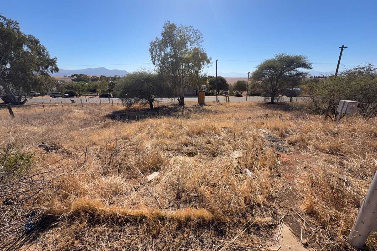 Vacant Land in the Heart of Charming Koringberg - Photo 5