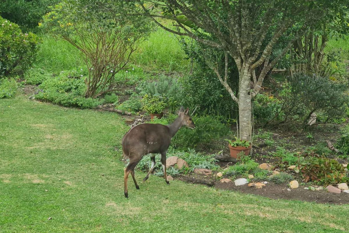 Three bedroom retreat in nature’s paradise - Photo 4