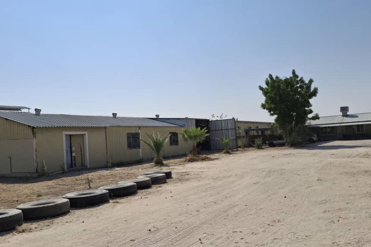 Exterior view of a mixed-use property featuring industrial-style metal cladding buildings and a large unpaved yard area.