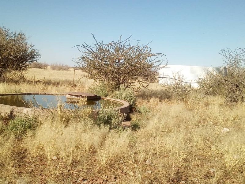 Expansive 9,654-Hectare Farm: Ideal for Agriculture & Serene Living - Photo 3