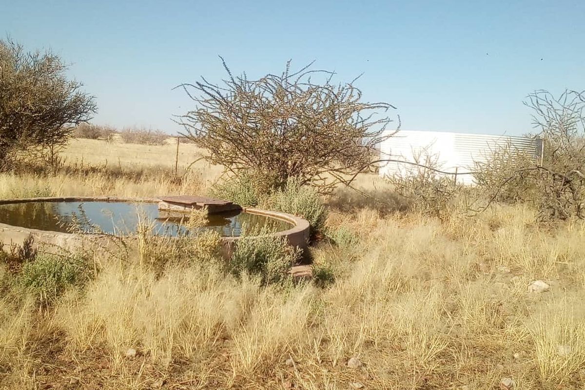 Expansive 9,654-Hectare Farm: Ideal for Agriculture & Serene Living - Photo 3