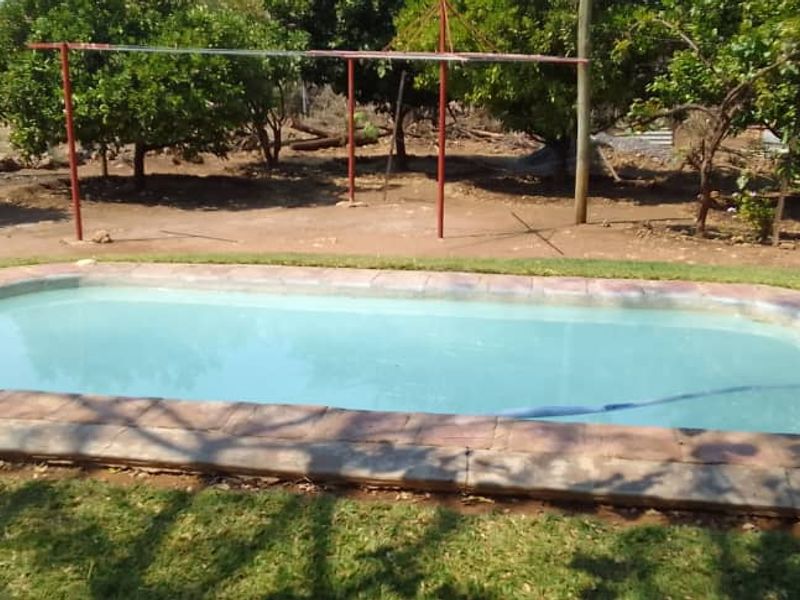 A rectangular swimming pool set within a garden area, featuring paved coping and surrounding lawn space.