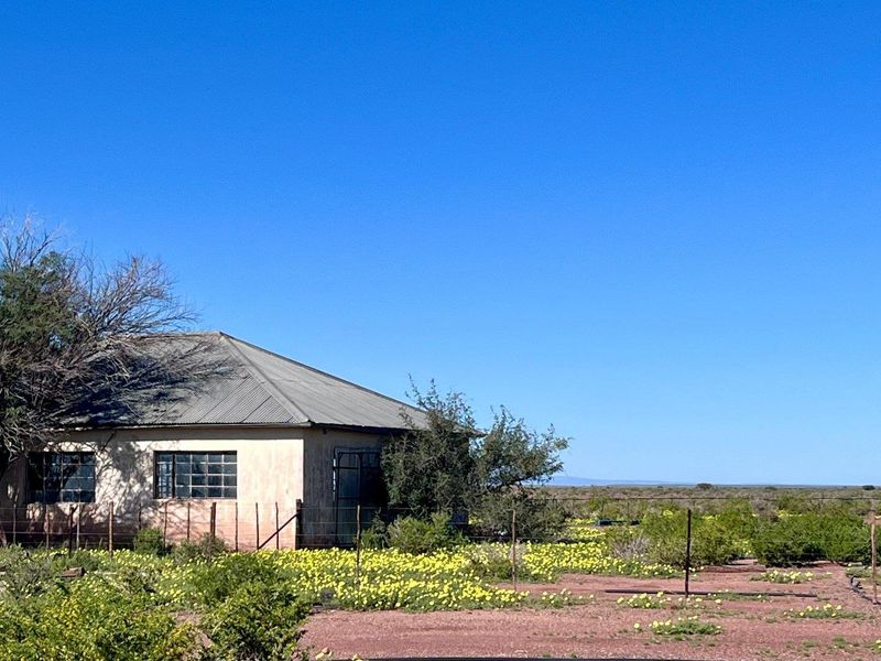 A RARE MUST HAVE CATTLE FARM | FOR SALE IN //KARAS REGION - Photo 3