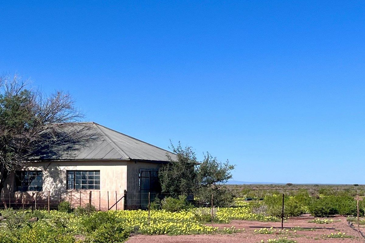 A RARE MUST HAVE CATTLE FARM | FOR SALE IN //KARAS REGION - Photo 3