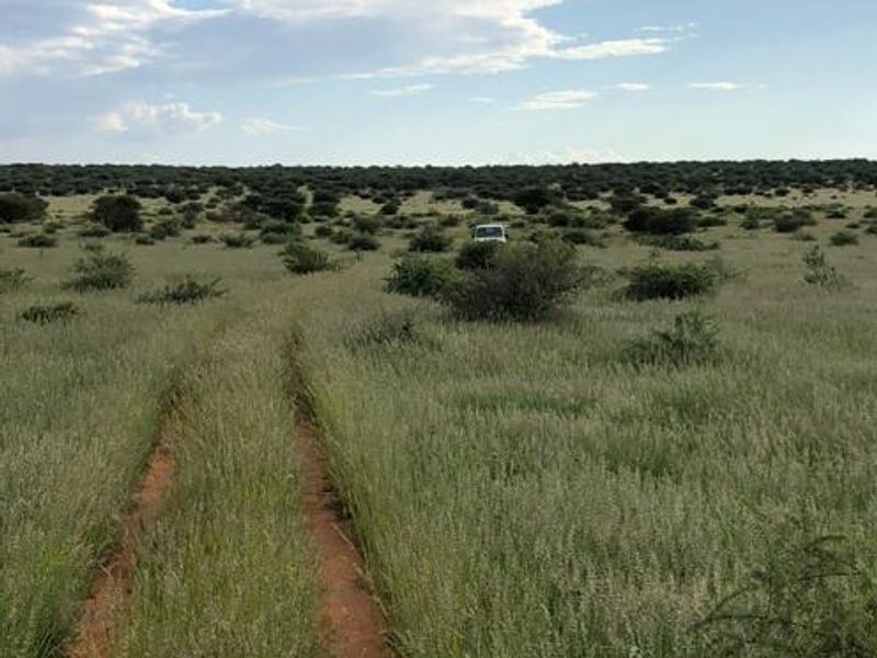 Large Game Farm close to the Erindi Game Reserve- 7900 HA - Photo 8