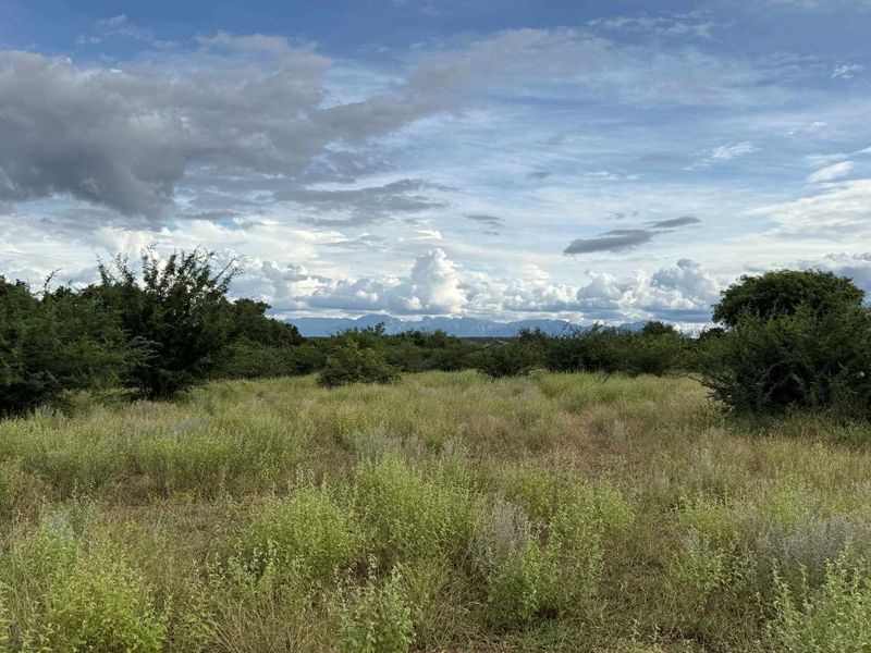 A scenic view of the vacant residential land featuring native vegetation and a distant mountain range under a cloudy sky.