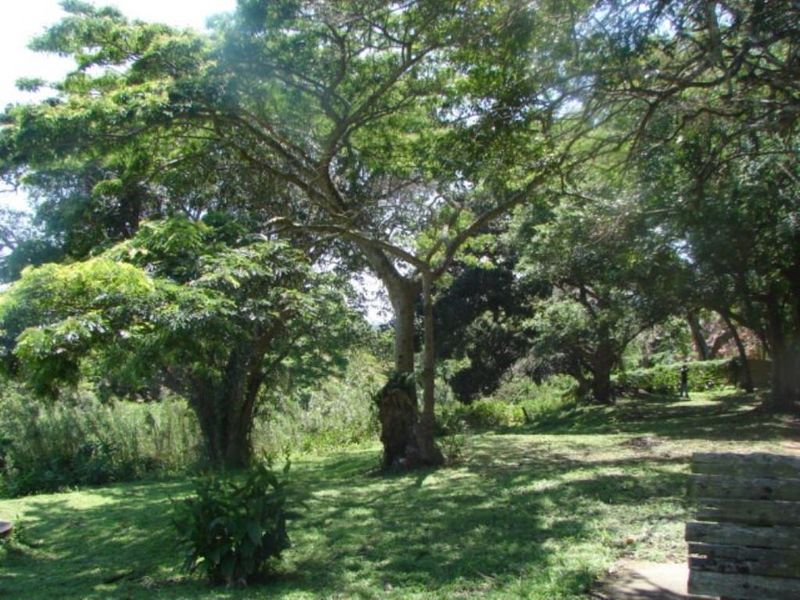 Vacant Land in ST LUCIA - Photo 4