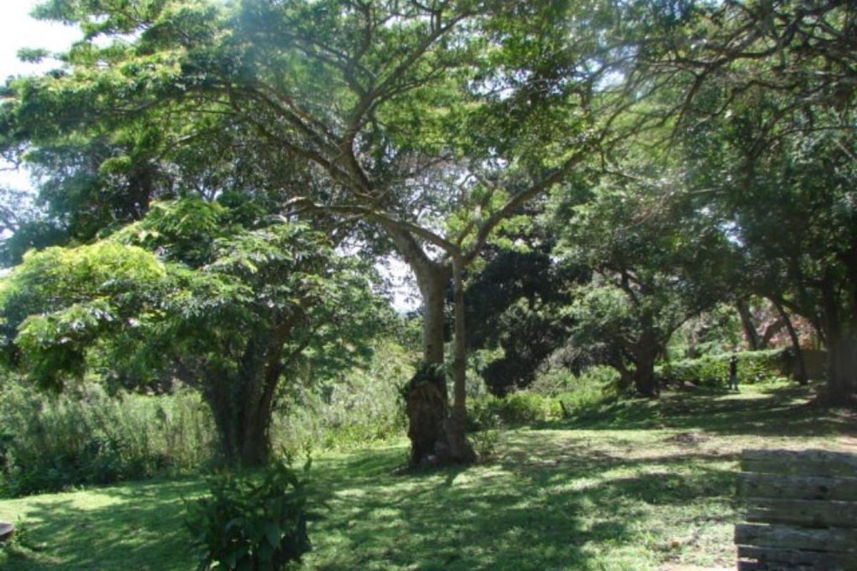 Vacant Land in ST LUCIA - Photo 4